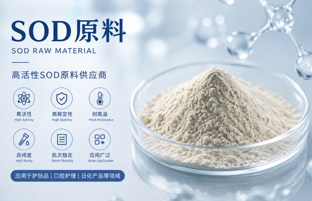 高活性SOD原料怎么选？采购方别只看“多少U/g”，真正要看的是使用后的活性