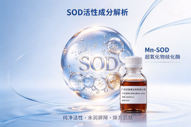 第五代SOD原料是什么？液态SOD有哪些优势与应用场景