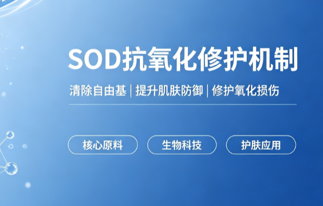 企业微信截图_1785729285502.png