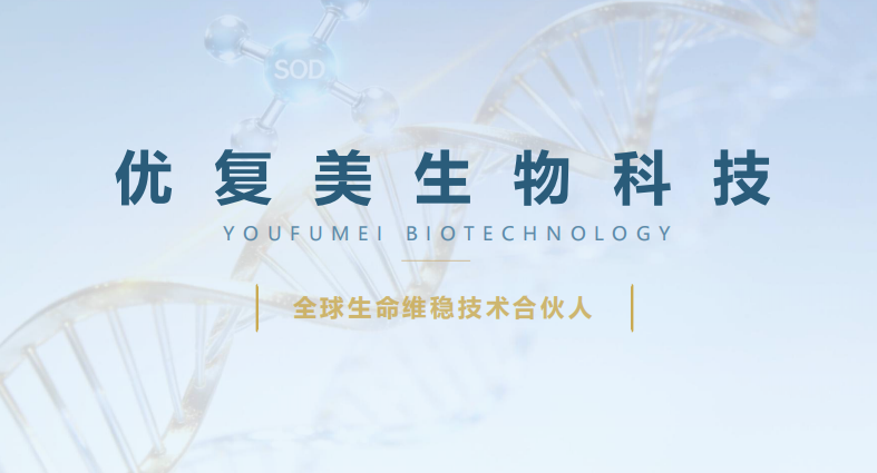 21747f85-1e40-4a99-a477-b37d28cea70f.png