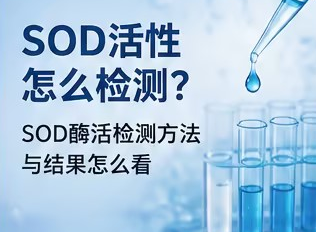 sod活性检测.png sod活性检测.png