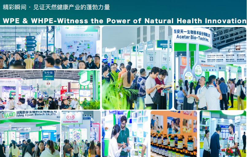 西安展会.png