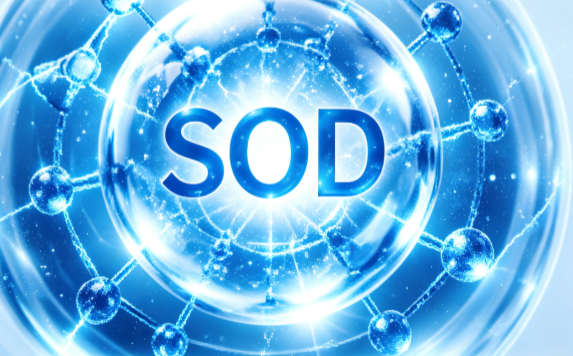 SOD细胞图.png SOD细胞图.png