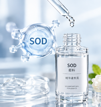 SOD精华.png SOD精华.png
